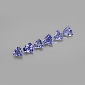 Pedras preciosas de iolita azul natural de  ct, trillion, VS