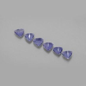 Pedras preciosas de iolita azul natural de  ct, trillion, VS
