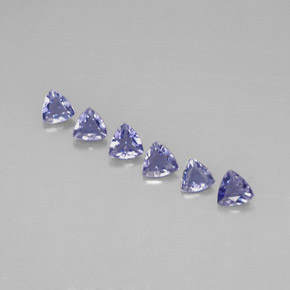 Pedras preciosas de iolita azul natural de  ct, trillion, VVS