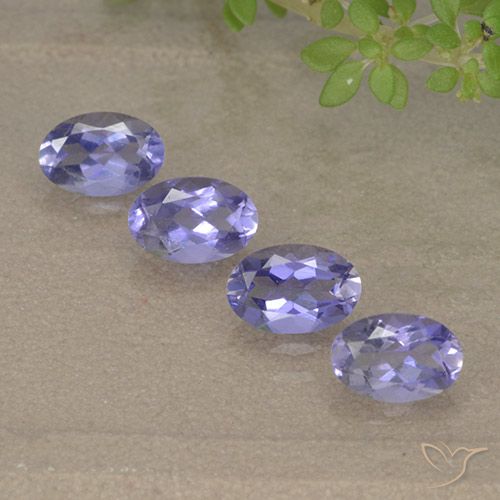 Pedras preciosas de Iolita Violeta Médio-claro natural de 1.56 ct, Corte Oval, VVS-VS
