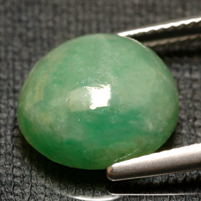 jadeita Verde Natural 9.74ct, Transparente, Transparente/Translúcido