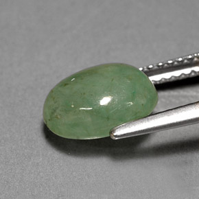 Jadeíta verde natural 3,12ct, transparente, transparente/translúcido