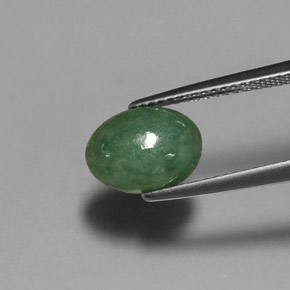 Jadeíta verde natural 2,60ct, corte oval, translúcido