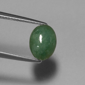 Jadeíta verde natural 2,60ct, corte oval, translúcido