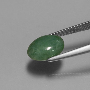 Jadeíta verde natural 2,60ct, corte oval, translúcido