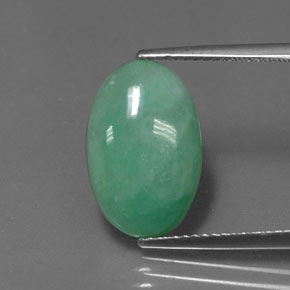 Jadeíta verde natural 5,96ct, corte oval, opaco