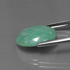 jadeita Verde Natural 5.48ct, Corte Oval, Opaco
