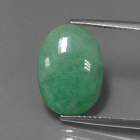 Jadeíta verde natural 5,77ct, corte oval, opaco