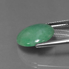 Jadeíta verde natural 5,92ct, corte redondo, opaco