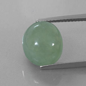 Jadeíta verde natural 6,83ct, corte oval, translúcido