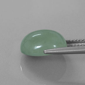 Jadeíta verde natural 6,83ct, corte oval, translúcido