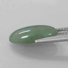 Jadeíta verde natural 4,81ct, corte oval, translúcido