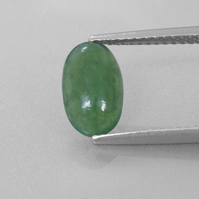 Jadeíta verde natural 1,56ct, corte oval, translúcido