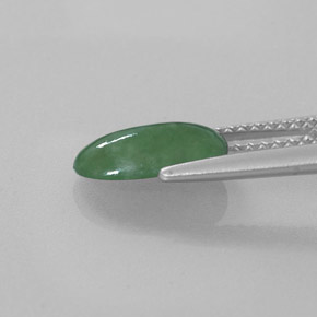 Jadeíta verde natural 1,56ct, corte oval, translúcido