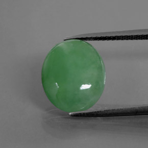 Jadeíta verde natural 6,55ct, corte oval, translúcido