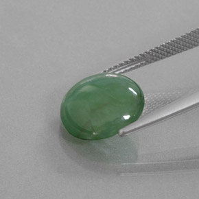 Jadeíta verde natural 5,27ct, corte redondo, transparente