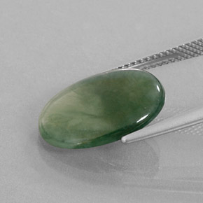 Jadeíta verde natural 5,69ct, corte oval, transparente
