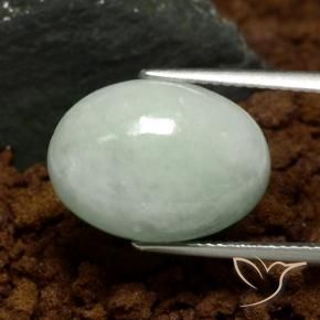 jadeita Verde médio Natural 10.19ct, Corte Oval, Translúcido