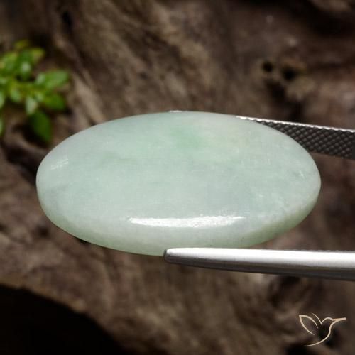Jadeíta verde natural 34,76ct, corte oval, translúcido