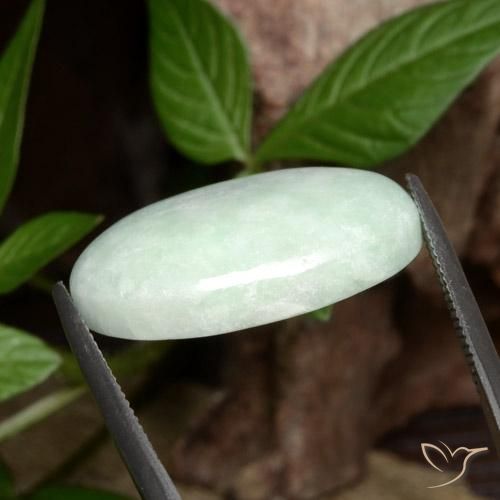 Jadeíta Luz verde Natural 27.82ct, oval, Opaco