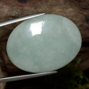 Jadeíta verde natural 43,65ct, corte oval, translúcido