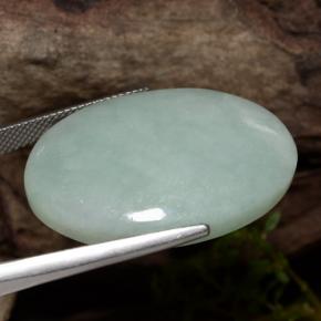 Jadeíta verde natural 43,65ct, corte oval, translúcido