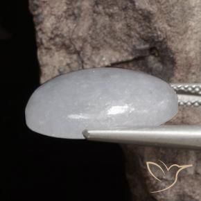 Jadeíta cinza médio Natural 11.71ct, oval, Translúcido
