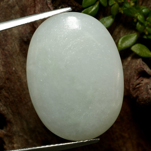 Jadeíta verde natural 24,22ct, corte oval, translúcido