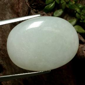 Jadeíta verde natural 24,22ct, corte oval, translúcido