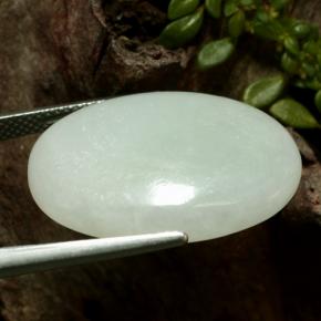 Jadeíta verde natural 24,22ct, corte oval, translúcido