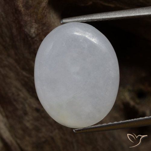 7.87ct Natural cinza médio Jadeíta, oval, Translúcido