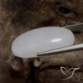 Jadeíta cinza médio Natural 16.11ct, oval, Translúcido