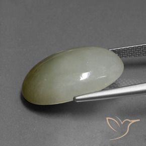 jadeita Verde médio Natural 13.85ct, Corte Oval, Translúcido