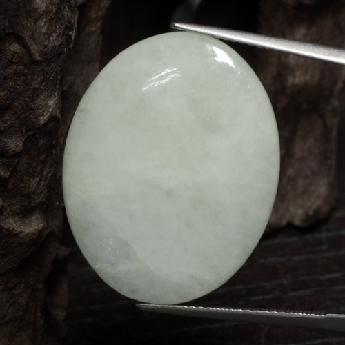 Jadeíta verde natural 24,59ct, corte oval, translúcido