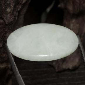Jadeíta verde natural 24,59ct, corte oval, translúcido