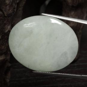 Jadeíta verde natural 24,59ct, corte oval, translúcido