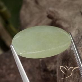Jadeíta Verde médio Natural 11.65ct, oval, Translúcido