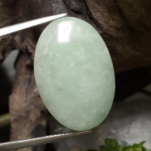 Jadeíta verde médio natural 22,62ct, corte oval, translúcido