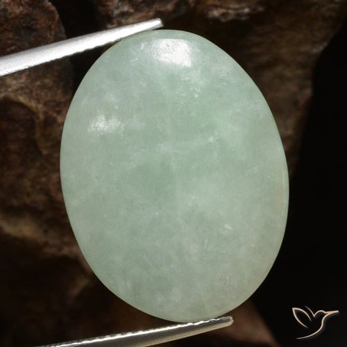 Jadeíta verde natural 16,53ct, corte oval, translúcido