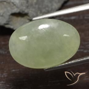 jadeita Verde oliva Natural 8.37ct, Corte Oval, Translúcido