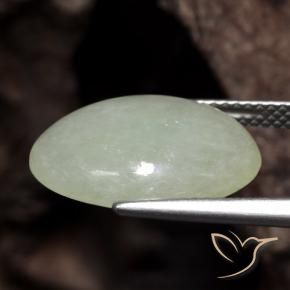 Jadeíta Verde médio Natural 8.52ct, oval, Translúcido