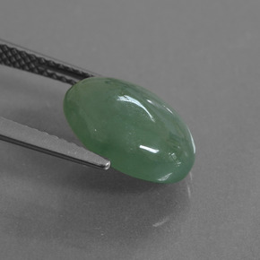 Jadeíta verde natural 5,60ct, corte oval, translúcido
