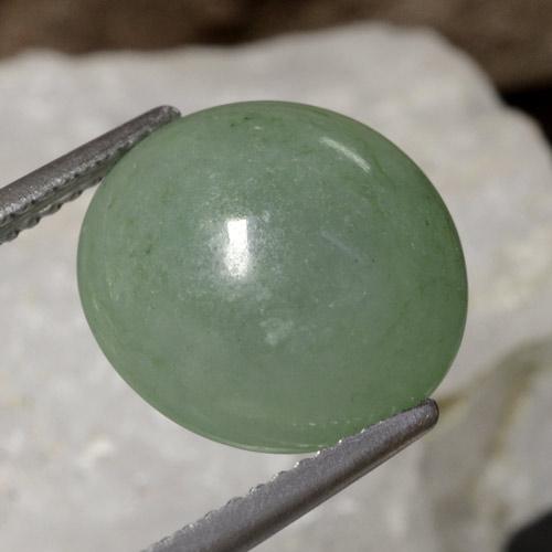 Jadeíta verde natural 6,93ct, corte redondo, translúcido
