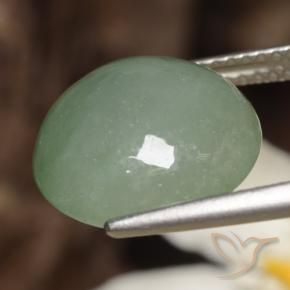 Jadeíta Luz verde Natural 7.82ct, Redondo, Translúcido