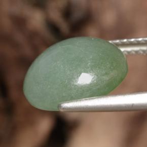 Jadeíta verde natural 6,35ct, corte redondo, translúcido