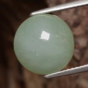 Jadeíta verde natural 6,81ct, corte redondo, translúcido