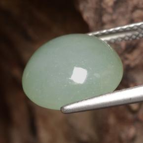 Jadeíta verde natural 6,81ct, corte redondo, translúcido