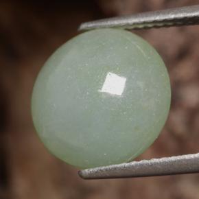 Jadeíta verde natural 6,29ct, corte redondo, translúcido