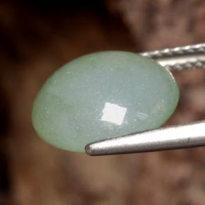 Jadeíta verde natural 6,29ct, corte redondo, translúcido