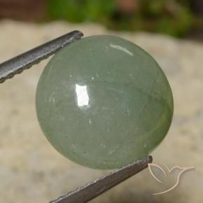 Jadeíta verde quente Natural 5.81ct, Redondo, Translúcido